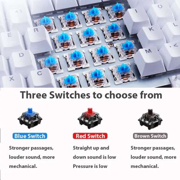 61 Keys Mechanical Keyboard Wired USB Mechanical Keyboard 17 Types RGB Keyboard For Computer Laptop Red Blue Tea Axis Keyboard - Image 4
